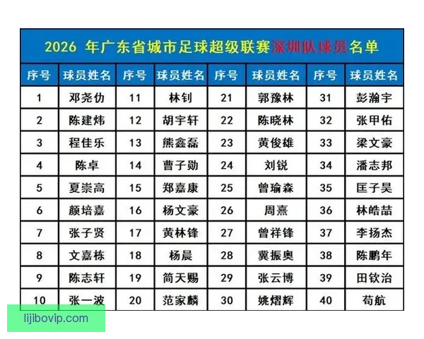 粤超联赛最新战况解析与球队数据深度全面盘点